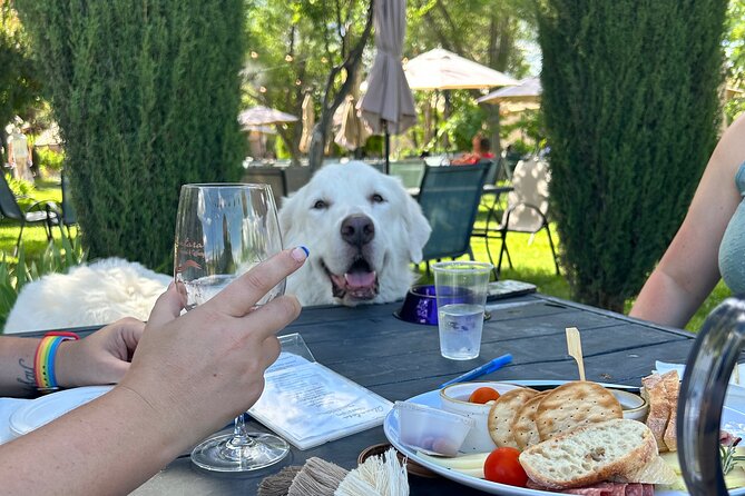 Alcantara Estate Vineyards Tasting Experience - Exploring the Alcantara Vineyards and Winery