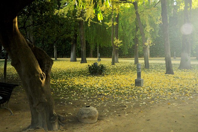 Alcazar and Cathedral Combo Tour - Flexibility: One Day or Split into Two Visits