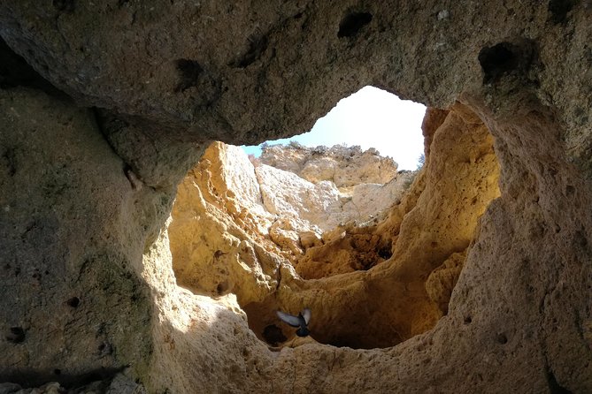 Algarve Private Tour from Lisbon - Visiting Sagres Fortress and Cape St. Vincent