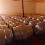 Algarve wine tour and farmer's lunch at wine estate - First Stop: Quinta Do Frances Winery