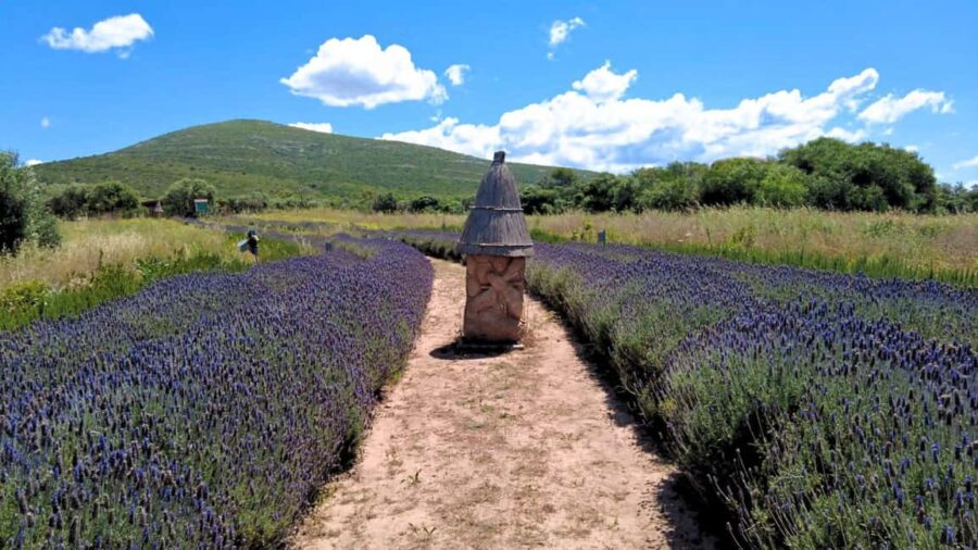 Alghero: Guardia Grande Bee Garden with Guided Tour - The Educational Workshop and Bee Secrets