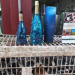 Alghero: private sightseeing & wine experience - Visiting the 16th-Century Cattedrale di Santa Maria