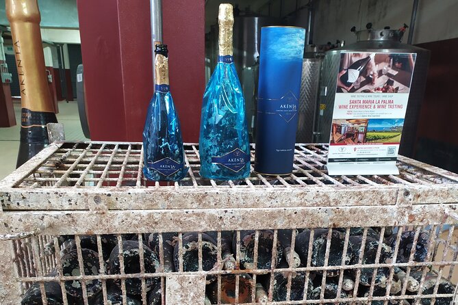 Alghero: private sightseeing & wine experience - Visiting the 16th-Century Cattedrale di Santa Maria