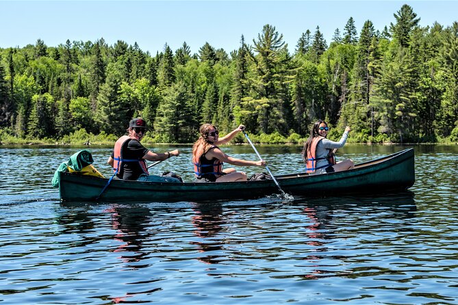 Algonquin Park 3-Day Deluxe Camping & Canoeing Adventure - Wildlife and Wilderness Tours on Day 2