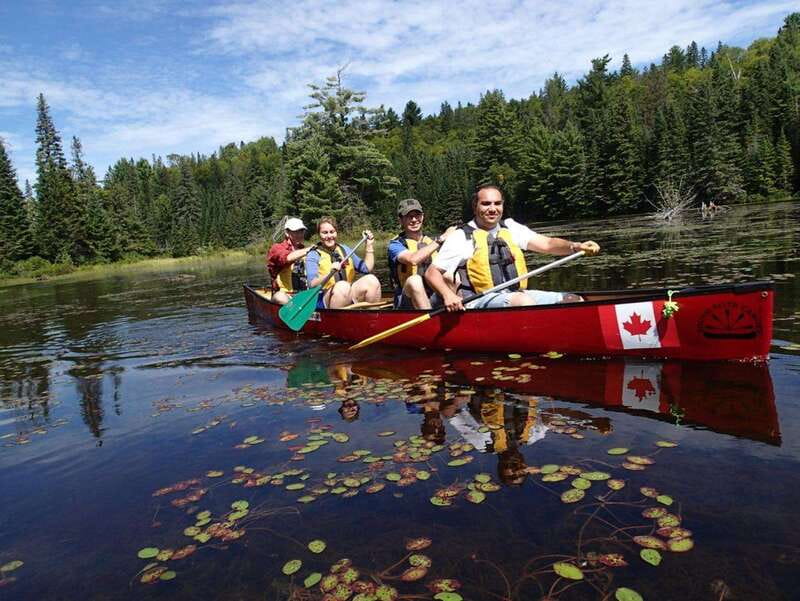 Algonquin Park: Guided Canoe Day Tour - Cliff Jumping: From Beginner to Adrenaline Levels