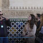 Alhambra: Small Group Tour with Local Guide & Admission - Inside the Nasrid Palaces: An Architectural Treasure