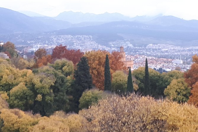 Alhambra Sultan Gardens ,Palaces and towers .Skip the line - Exploring the Gardens and Generalife Palace