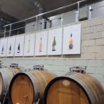 Alicante:Winery Tour+ Wine Tasting + Old castle - Visiting the Winery in Alicante’s Valencian Community