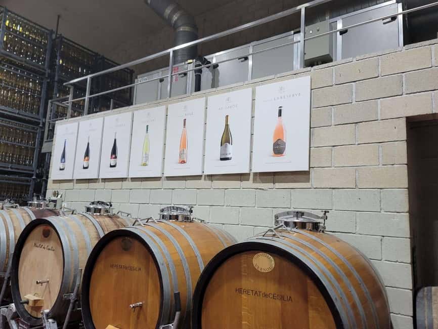 Alicante:Winery Tour+ Wine Tasting + Old castle - Visiting the Winery in Alicante’s Valencian Community