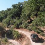 All Day 4x4 Adventure / Lefkada / With Brunch - Unique Stops at Oak Forests and Mountain Views