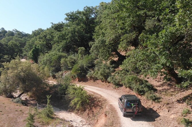 All Day 4x4 Adventure / Lefkada / With Brunch - Unique Stops at Oak Forests and Mountain Views