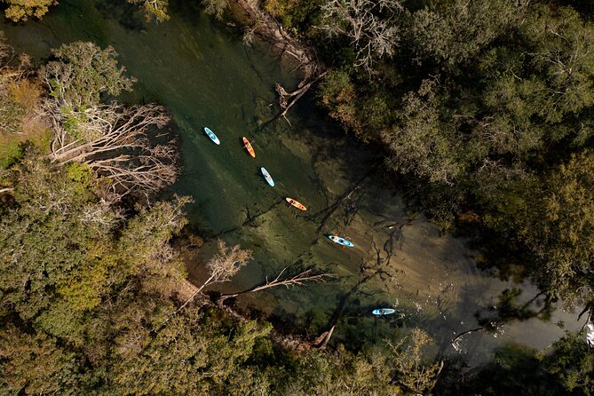 All Inclusive Cypress Springs Eco Adventure with GoPro - Kayaking and Stand-Up Paddleboarding at Holmes Creek