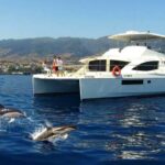 All Inclusive Whale and Dolphin Watching Luxury Tour - Discover the Marine Wildlife of Madeira’s Atlantic Waters