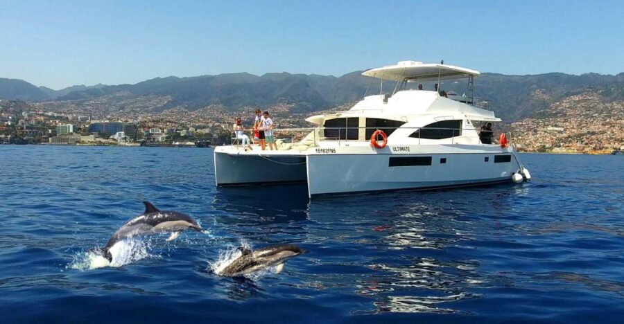 All Inclusive Whale and Dolphin Watching Luxury Tour - Discover the Marine Wildlife of Madeira’s Atlantic Waters