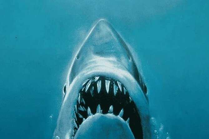 All New Shared Jaws tour Budget Friendly - The Tour Starts at Marthas Vineyard’s Oak Bluffs