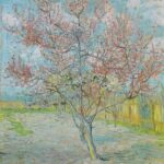 Almond Bloom Adventure: Nature's Art - Audio Driving Tour - The Charm of Modesto’s Almond Orchards in Bloom