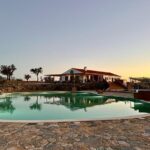 Alpaca Meet and Feed in Grândola - Additional Relaxation at the Farm’s Pool