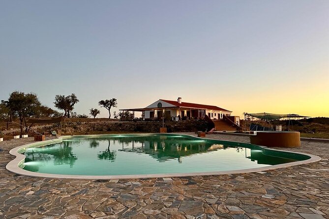 Alpaca Meet and Feed in Grândola - Additional Relaxation at the Farm’s Pool