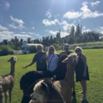 Alpacas Farm Tour on the Road to Hana - Stunning Views of Pastures and Ocean from the Farm