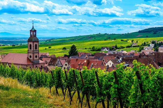 Alsace Half Day Wine Tour from Colmar - Visiting the Small Private Vineyard