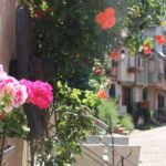 Alsace Wine Route Small Group Half-Day Tour with Tasting from Strasbourg - Traveling the Scenic Alsace Wine Route