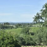 Amador County Wine Tasting Tour Private Tour 1 To 14 Group - The Freedom to Customize Your Winery Visits