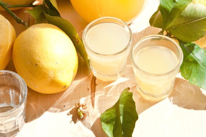 Amalfi Coast Day Trip from Rome by High-Speed Train - Scenic Ferry Ride from Salerno to Positano