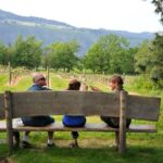 Amarone Wine Tour with 2 Wineries Lunch and Private Transfer - Visiting Two Historic Wineries in Valpolicella