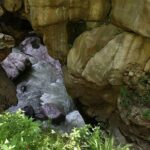 Amazing Adventure - Discover the Natural Wonder of Devil’s Bridge and Caves