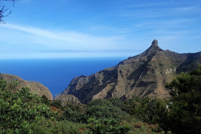 Amazing Anaga - The Unique Laurisilva Forest of Anaga