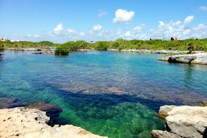 Amazing Cenote Yalku, swim in sacred waters. Transport & Guide - Visiting Yalku Lagoon: A Mix of Fresh and Saltwater