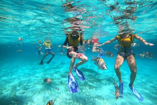 Amazing Snorkel Adventure! Round Transportation From Cancun - Transportation from Cancun in Comfort and Style