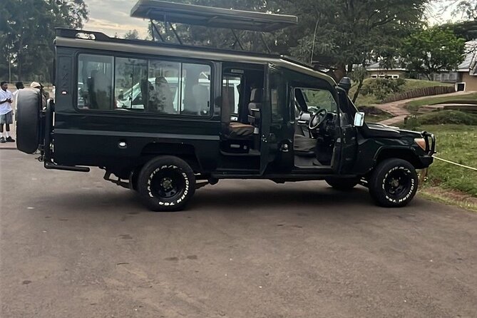 Amboseli national park over night - Exploring Amboseli’s Big-Tusked Elephants and Big Cats