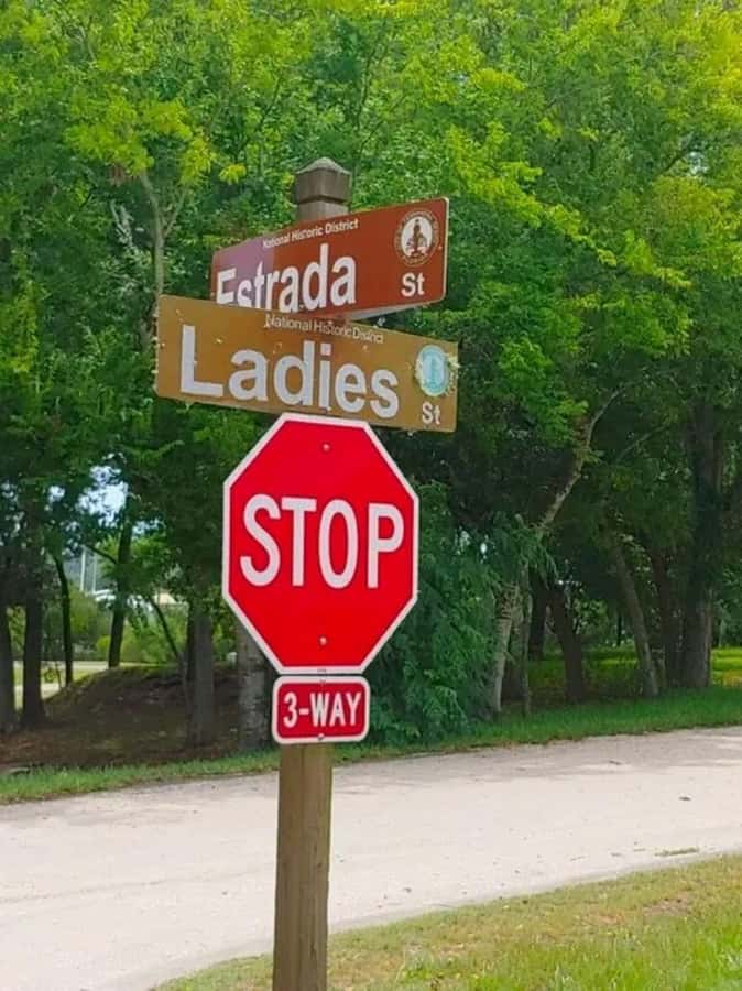 Amelia Island: Island-Wide Heritage Tour - Starting Point at American Beach and Its Significance