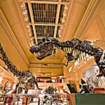 American and Natural History in One Day - The Tour’s Starting Point and Timing