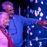 American Dream: SEA LIFE® Aquarium Entry Ticket - Location and Accessibility at American Dream