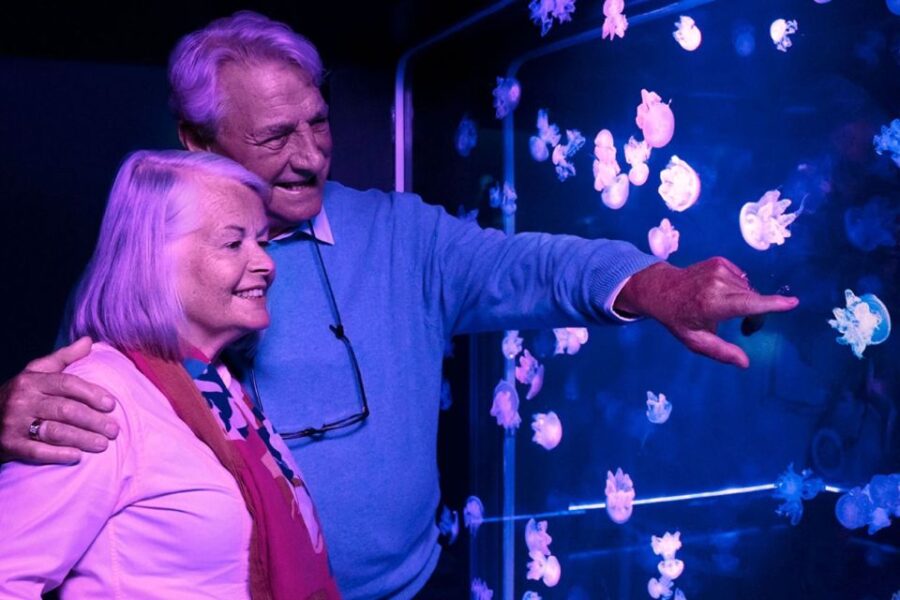 American Dream: SEA LIFE® Aquarium Entry Ticket - Location and Accessibility at American Dream