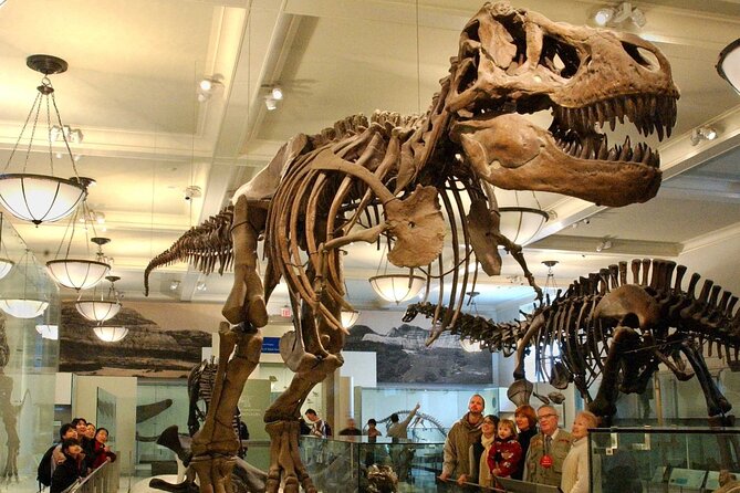 American Museum of Natural History Admission Ticket - Highlights of the Museums Exhibits and Galleries