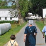 Amish Experience Visit-In-Person Tour - Visiting an Amish Farm: Insights into Daily Farm Life