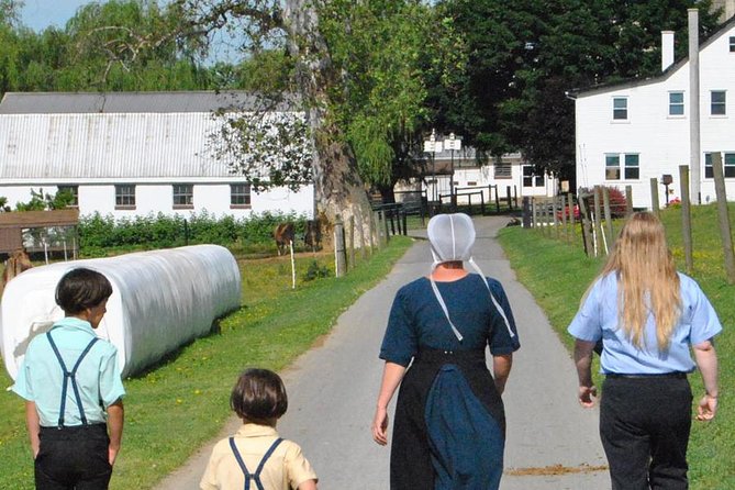 Amish Experience Visit-In-Person Tour - Visiting an Amish Farm: Insights into Daily Farm Life