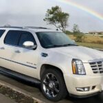 Amsterdam Schiphol Airport (AMS) to Rotterdam - Arrival Transfer - How Your Flight Tracking Ensures a Reliable Pickup