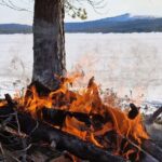 An Evening in the Backcountry, Northern Lights on a Sleighride - Meeting Point and Tour Logistics in Inari