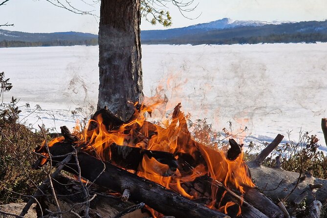 An Evening in the Backcountry, Northern Lights on a Sleighride - Meeting Point and Tour Logistics in Inari