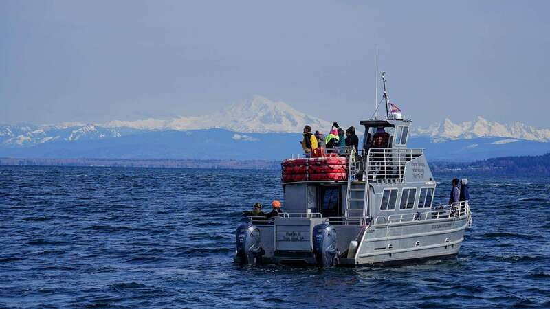 Anacortes: Orca Whales Guaranteed Boat Tour near Seattle - The Speed and Style of the Vessel