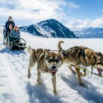 Anchorage Area: Helicopter and Glacier Dogsled Tour - Scenic Helicopter Flight Over Alaska’s Majestic Glaciers
