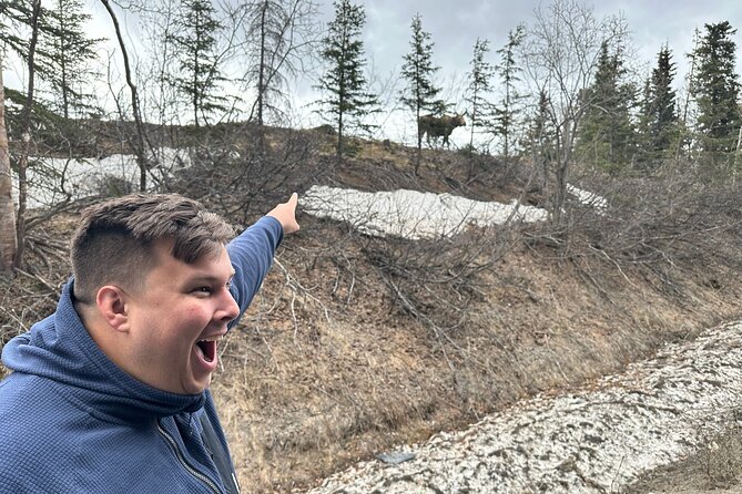 Anchorage City Tour and Highlights - Comfortable Transportation with Scenic Views