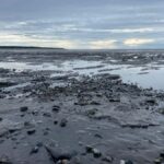 Anchorage discovery tour - How the Anchorage Discovery Tour Starts and Ends