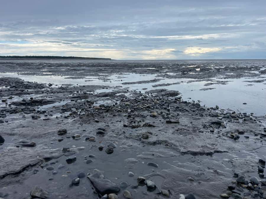 Anchorage discovery tour - How the Anchorage Discovery Tour Starts and Ends