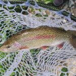 Anchorage Guided Fly-fishing - What’s Included in the Price