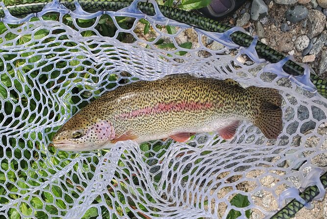 Anchorage Guided Fly-fishing - What’s Included in the Price